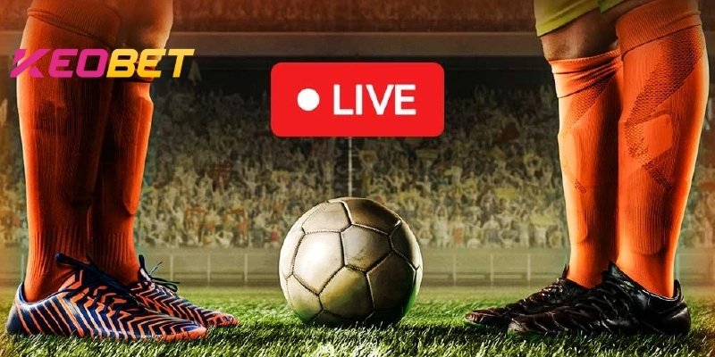 Keobet ผลบอลสด – เปิดเผยคลังข้อมูลสกอร์ลับ ความลับของสถิติที่ถูกซ่อนอยู่