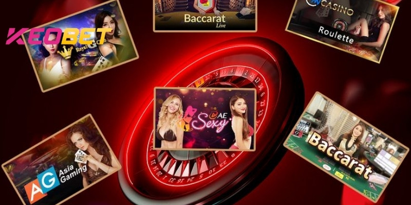 คาสิโนของเว็บไซต์มีความแตกต่างอย่างไร