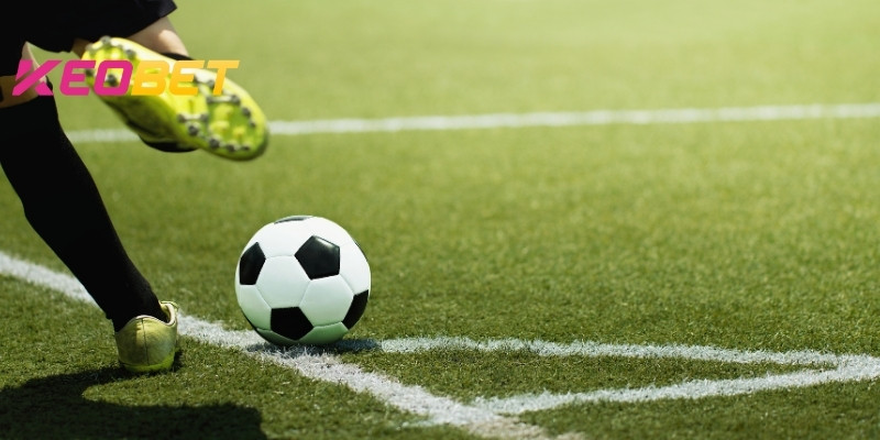 ค้นพบโลกแห่งสนามหญ้าที่น่าตื่นตาตื่นใจ