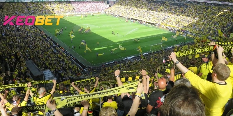 ประสบการณ์ในการใช้ประโยชน์จากการเดิมพันอย่างมีประสิทธิภาพ